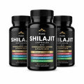 SHILAJIT Pure Capsules with Ashwagandha, Ginseng & Fulvic Acid – 60 Capsules